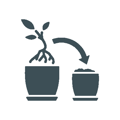 Repot icon