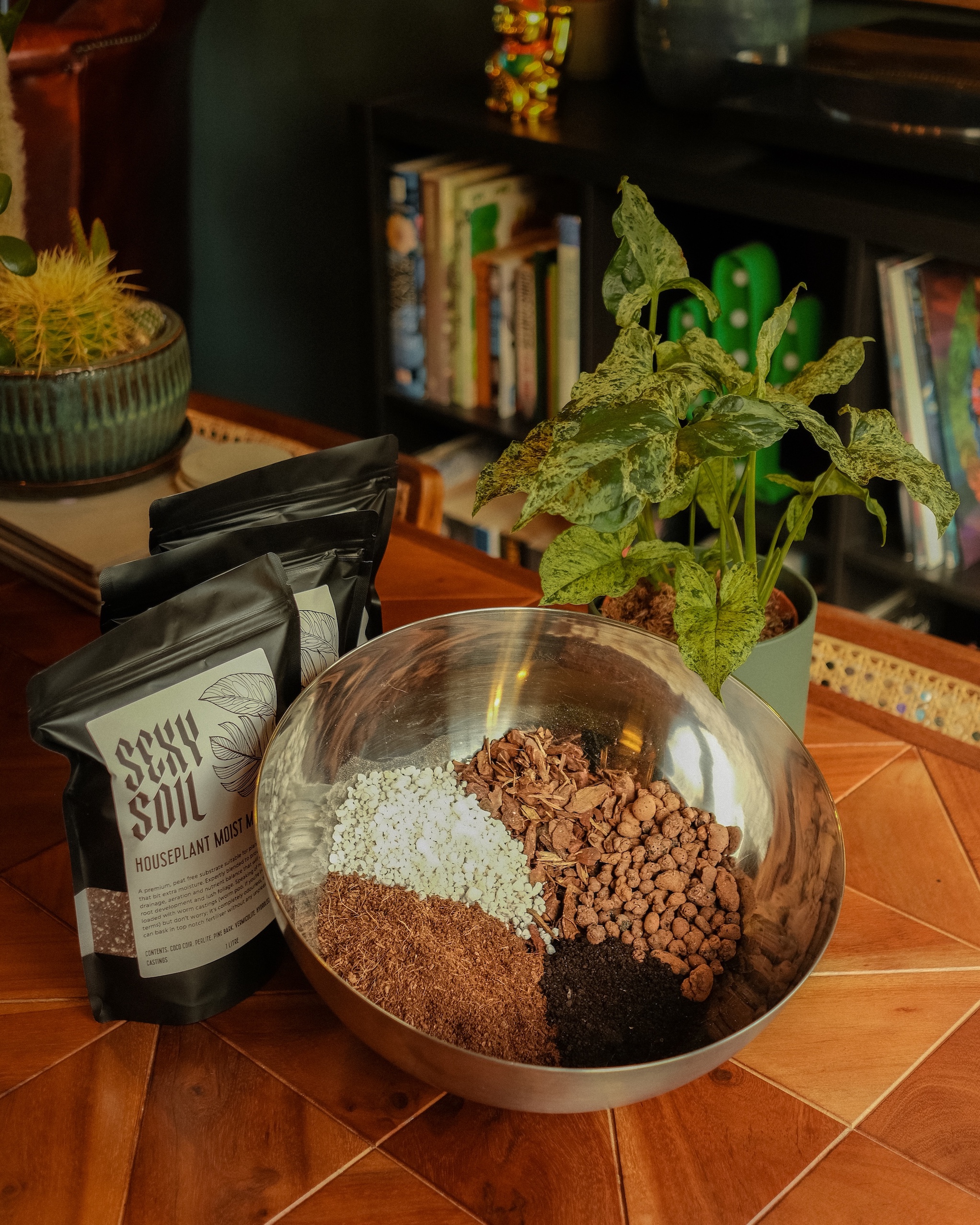 Sexy Soil