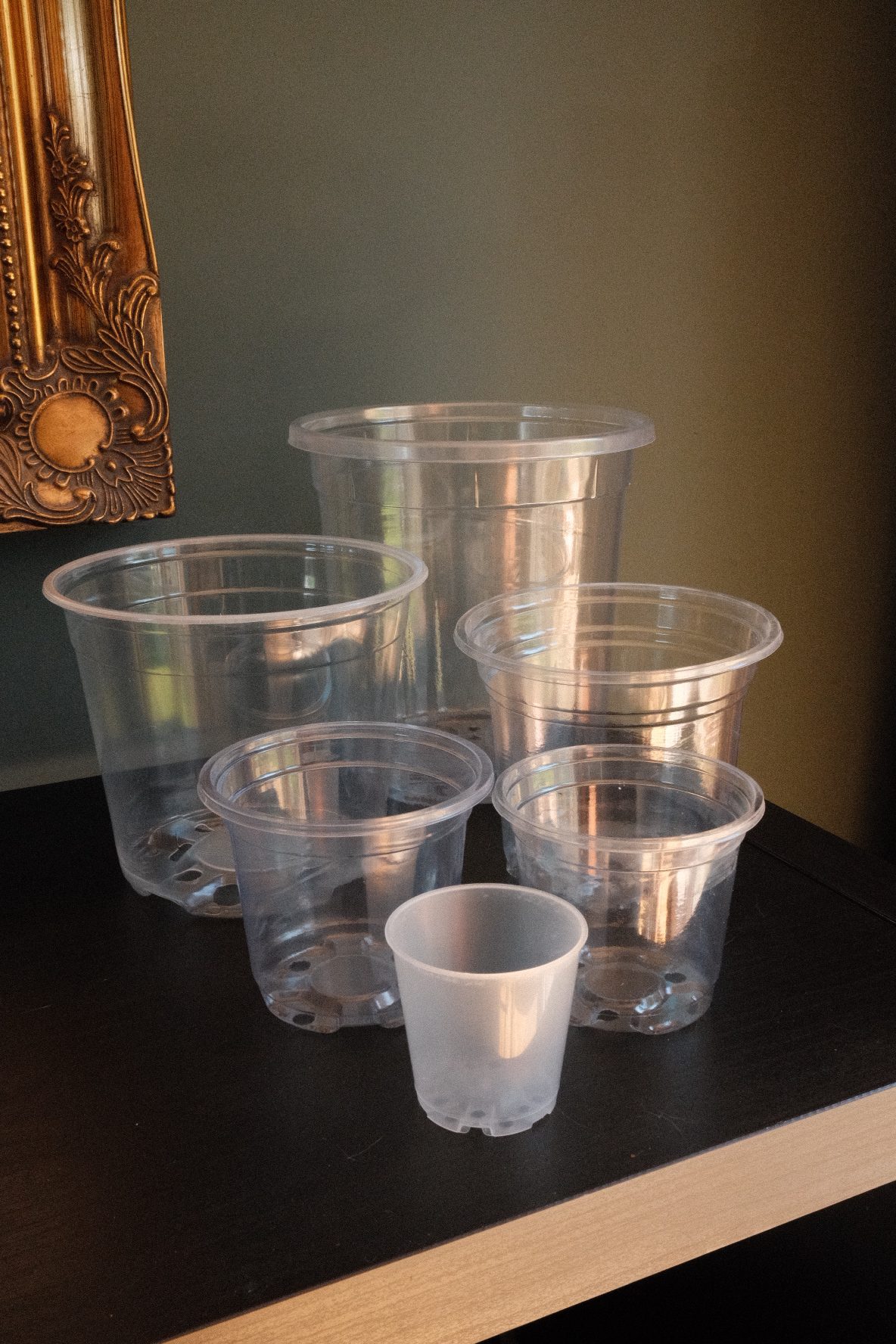 Clear Nursery Pot